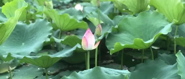 每人每月300元！@坪地人，这笔钱要来了！