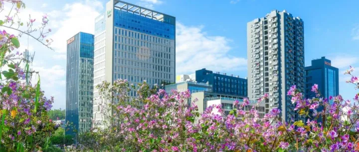 八大运动项目免费学！龙岗公益体育培训开始报名