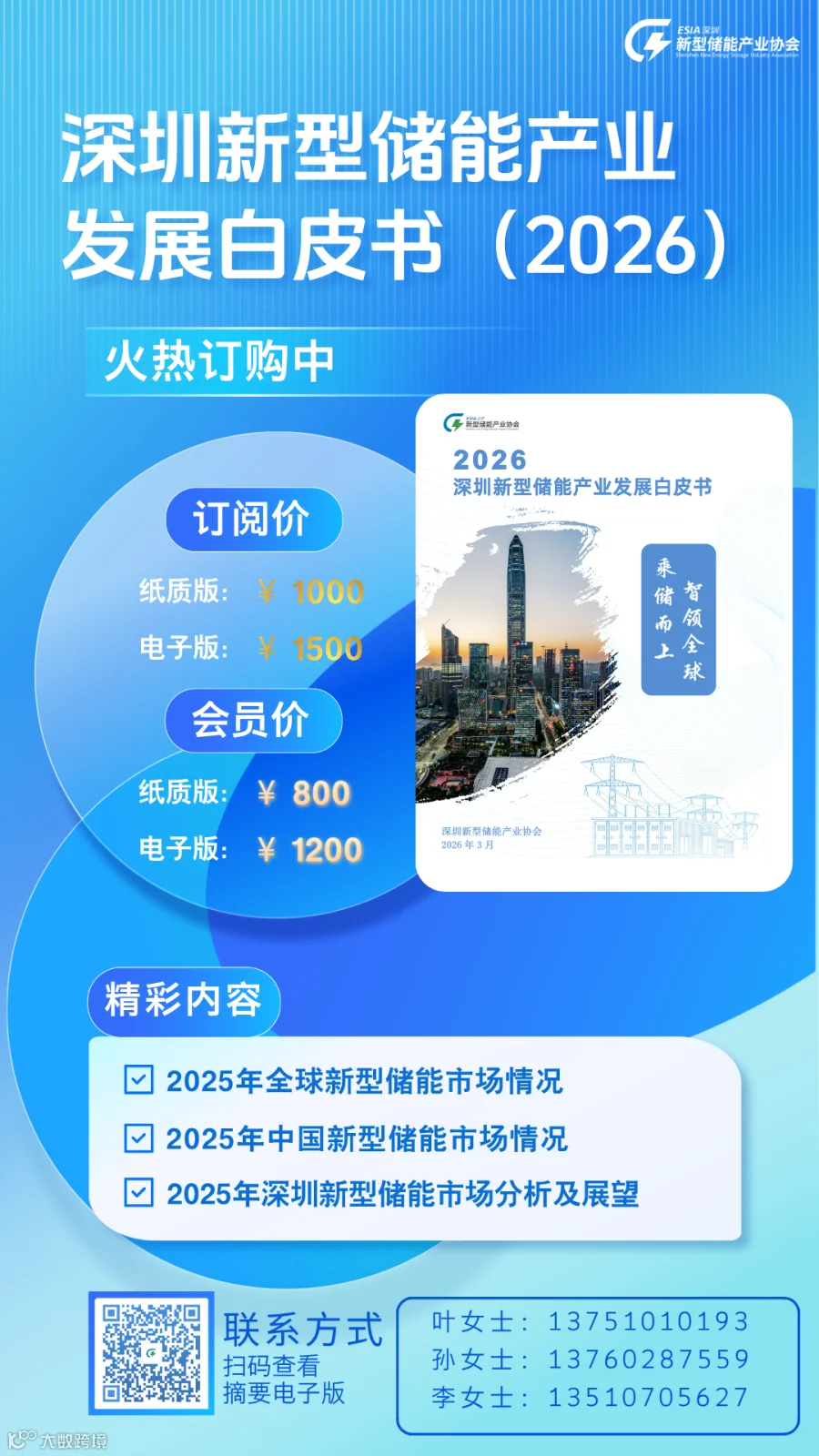 独立储能占 69%！｜2025 电化学储能年度报告权威发布- 大数跨境