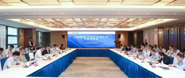 把脉发展蓝图，书写转型新篇！柳钢集团召开“十五五”发展规划专家评审会