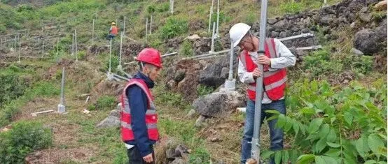 一线风采｜光伏板下的“假期”：他们用汗水为春天充电