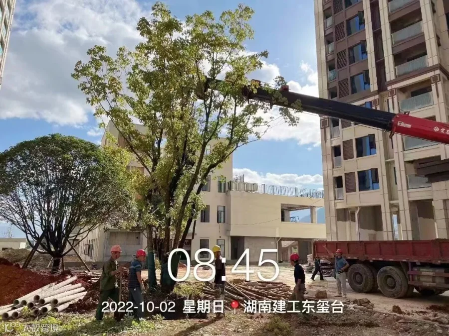微信图片_20221004093651.jpg