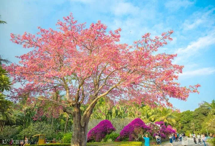 https://image.ipaiban.com/upload-ueditor-image-20171118-1510997699609025272.jpg