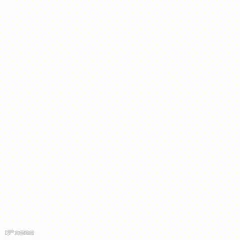 01-冲鸭.gif