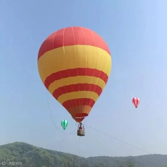 作者