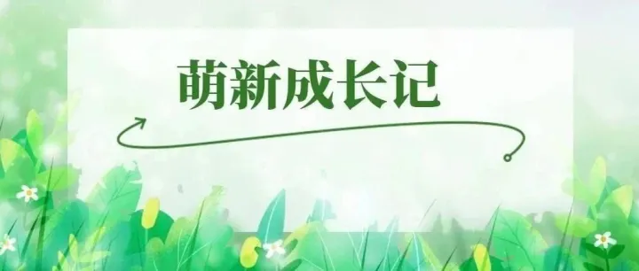 萌新成长记㊽ | 入职300天，我好像悄悄不一样了