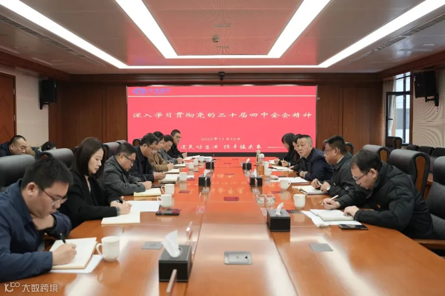 51 2025年11月19日,集团公司副总经理王伟在国际部(海投公司)为分管联系单位党员干部职工宣讲党的二十届四中全会精神,对国际部(海投公司)开展指导帮扶,对下步重点工作进行安排部署。.jpg