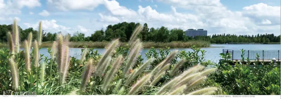 https://image.ipaiban.com/upload-ueditor-image-20211111-1636617989709009729.png