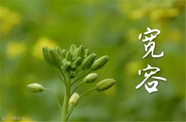 云报漫谈│父母子女间该多一些宽容