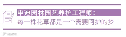 https://image.ipaiban.com/upload-ueditor-image-20210716-1626409311437084300.png