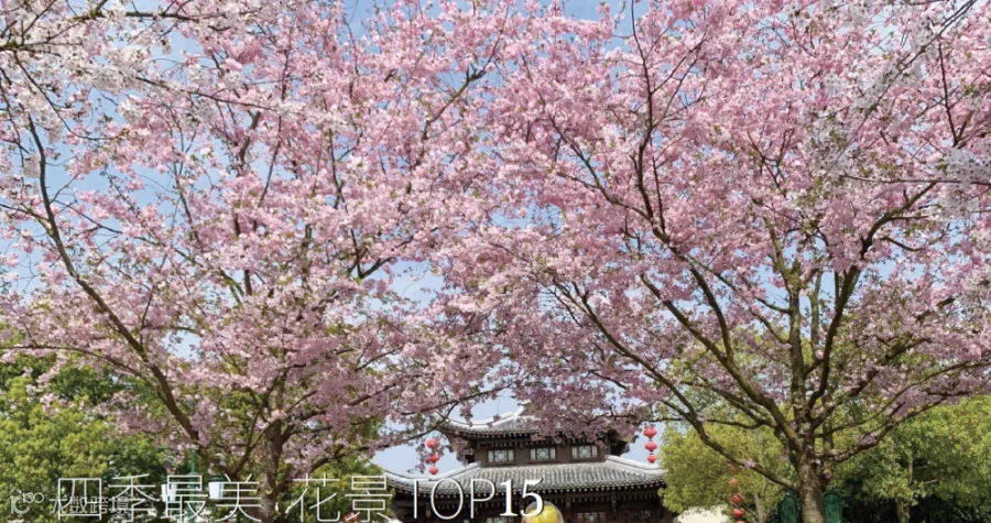 https://image.ipaiban.com/upload-ueditor-image-20210513-1620868303783012009.png