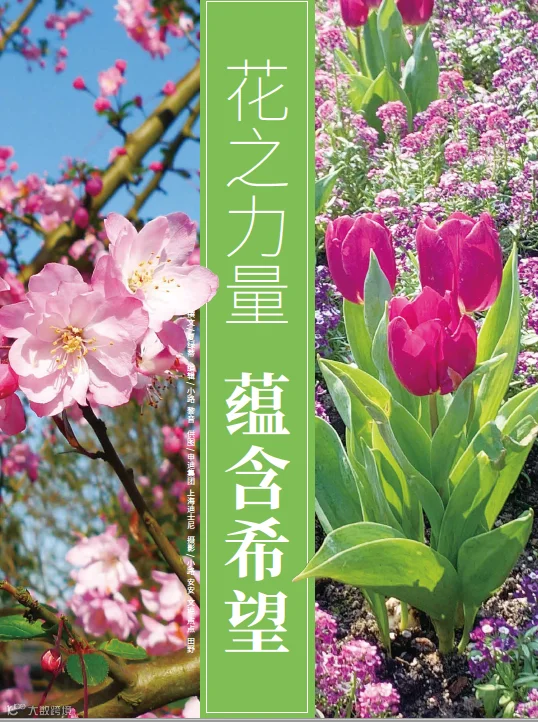 https://image.ipaiban.com/upload-ueditor-image-20210513-1620864848003063800.png