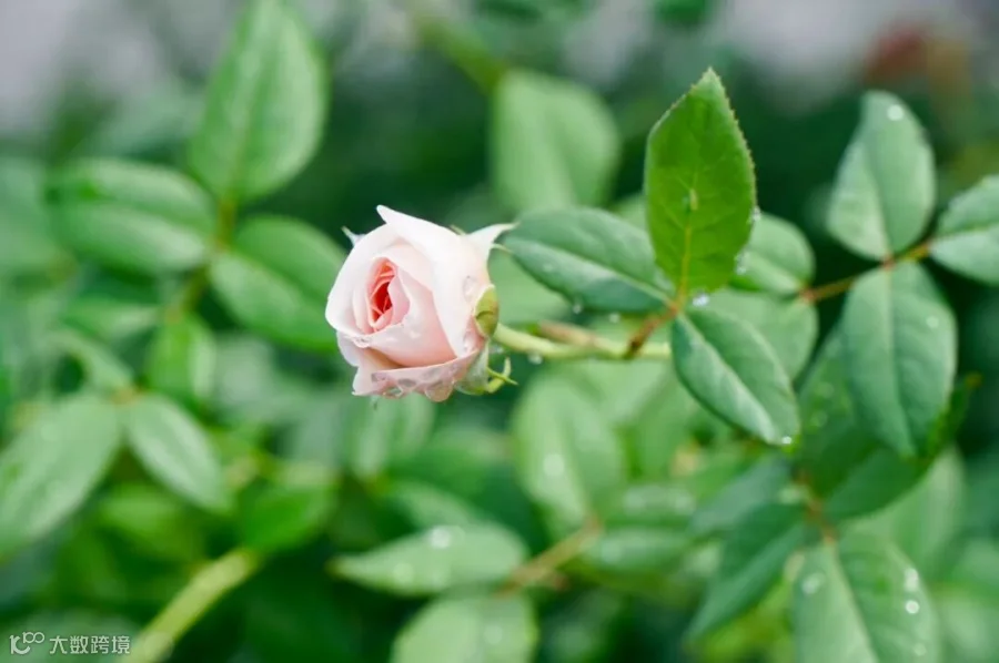 https://image.ipaiban.com/upload-ueditor-image-20190918-1568785866015060115.jpg