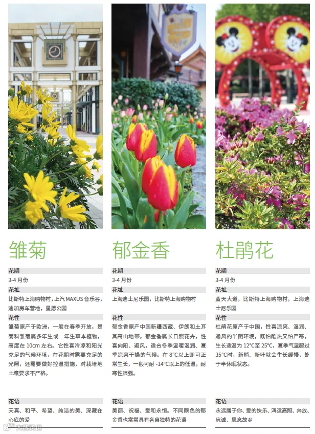 https://image.ipaiban.com/upload-ueditor-image-20210513-1620868686114031748.png
