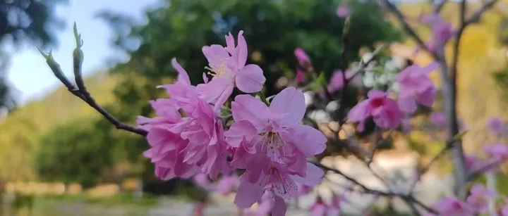 【善的清晨】《大學》四句，三個<em>問</em><em>題</em>。