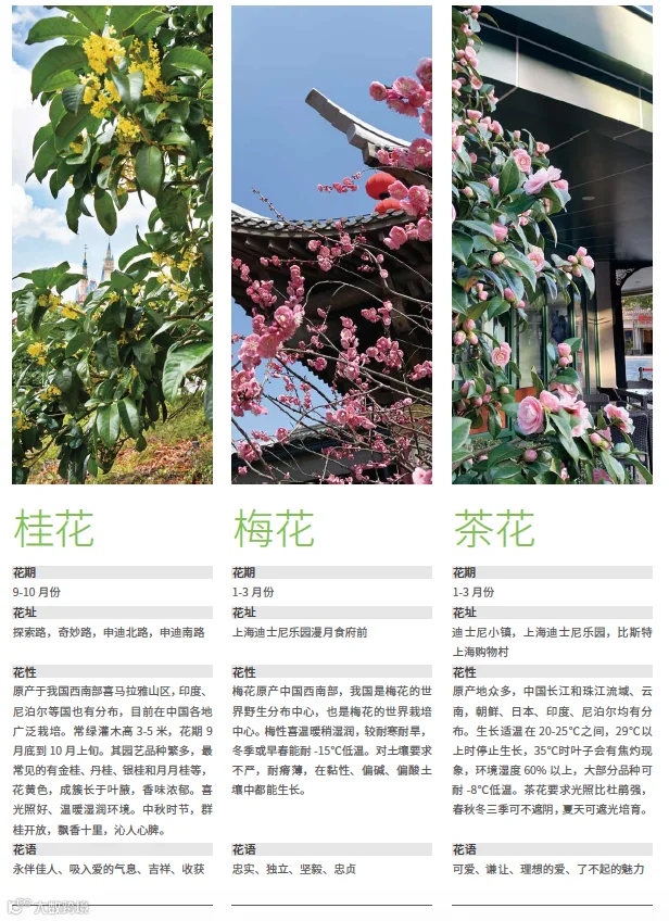 https://image.ipaiban.com/upload-ueditor-image-20210513-1620868692228071417.png