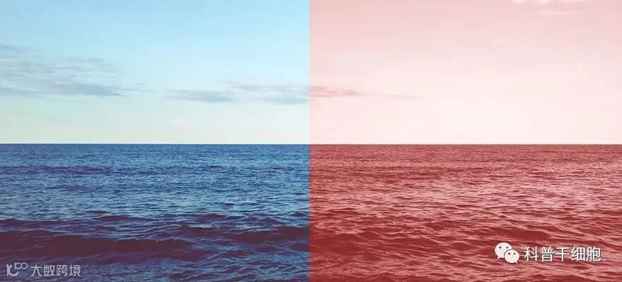 1683786896868219.jpg