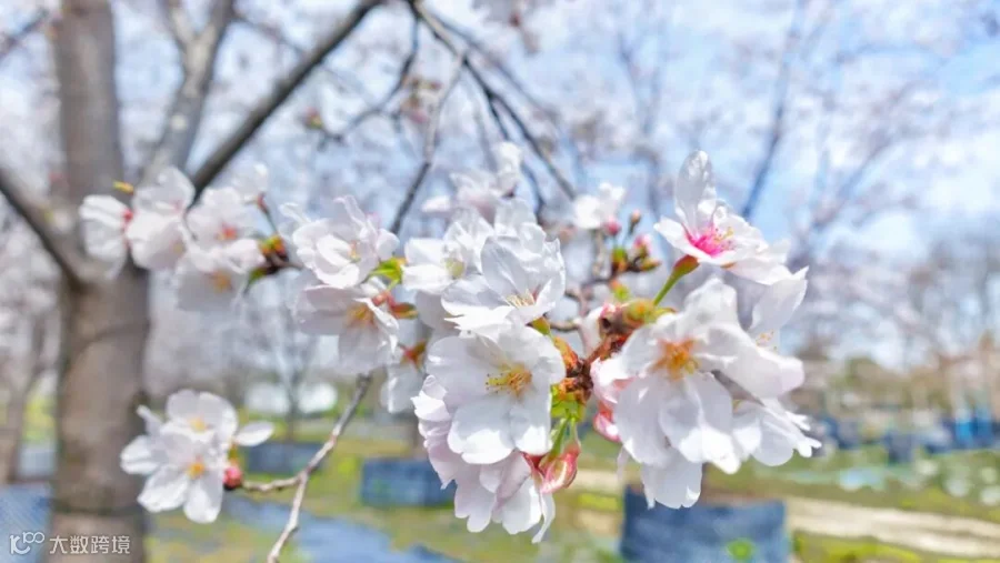 https://image.ipaiban.com/upload-ueditor-image-20200326-1585207984377047699.jpg