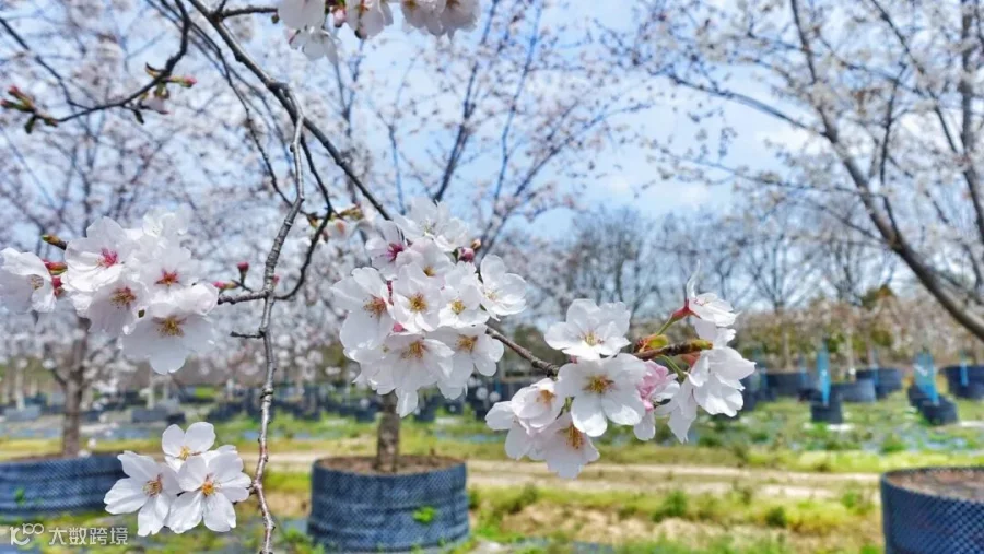 https://image.ipaiban.com/upload-ueditor-image-20200326-1585207984543011933.jpg