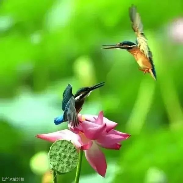 多言戏言直言尽言,说话十戒