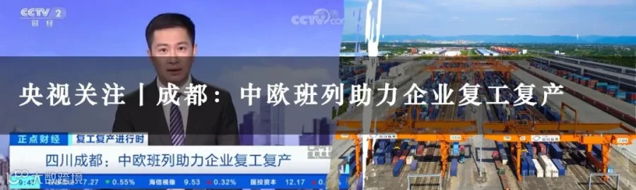 历史文章5.jpg