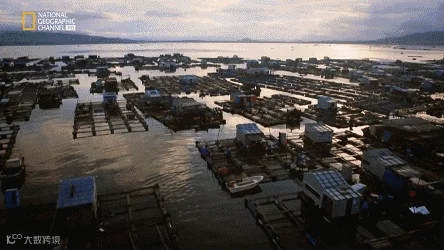 timg (4).gif