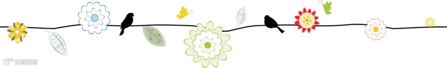 花分割线