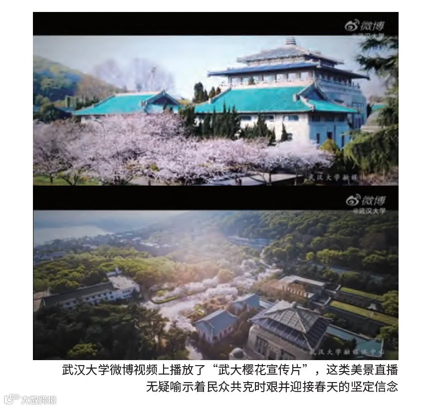 https://image.ipaiban.com/upload-ueditor-image-20200518-1589783257479005124.png