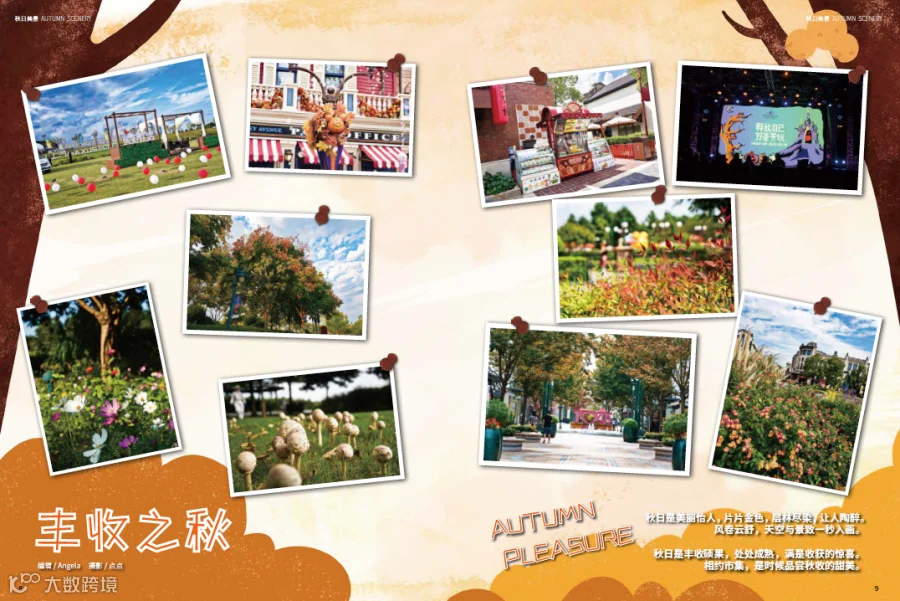 https://image.ipaiban.com/upload-ueditor-image-20201028-1603888923584045164.png