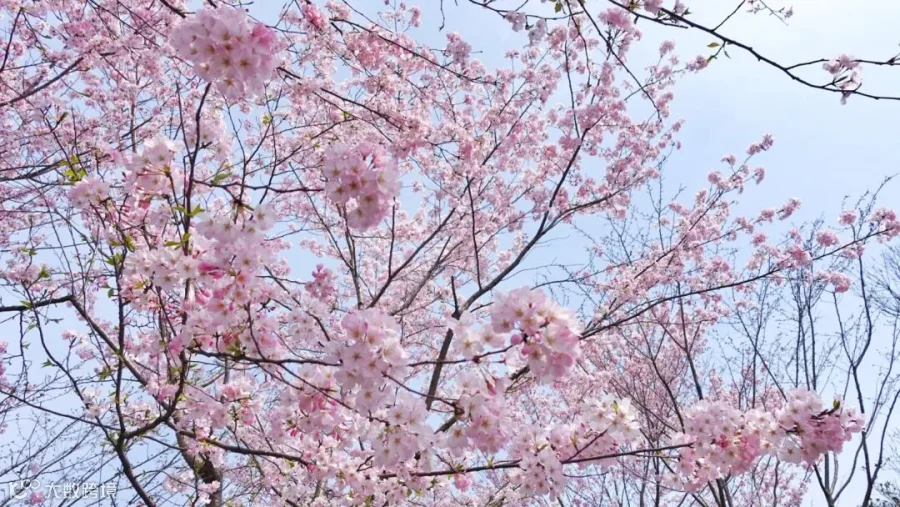 https://image.ipaiban.com/upload-ueditor-image-20200326-1585207961240007421.jpg