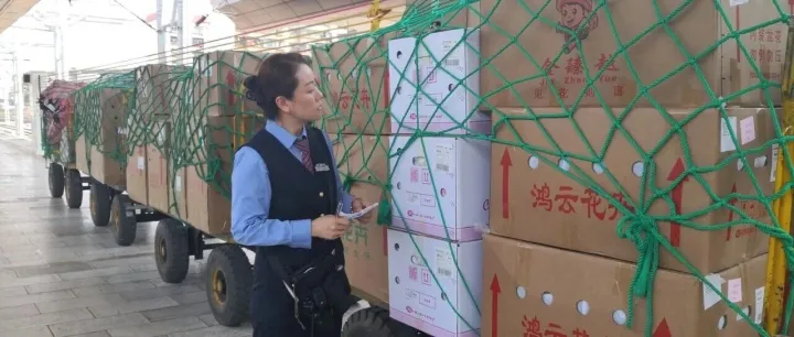 一路“生”花！云南的浪漫正“坐着”火车向你驶来