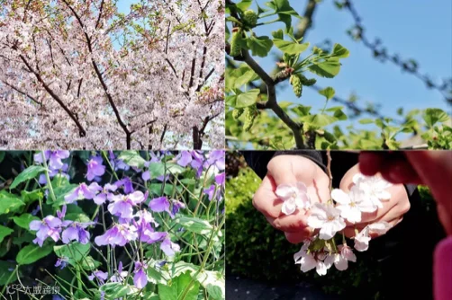 https://image.ipaiban.com/upload-ueditor-image-20200813-1597307783687035768.png
