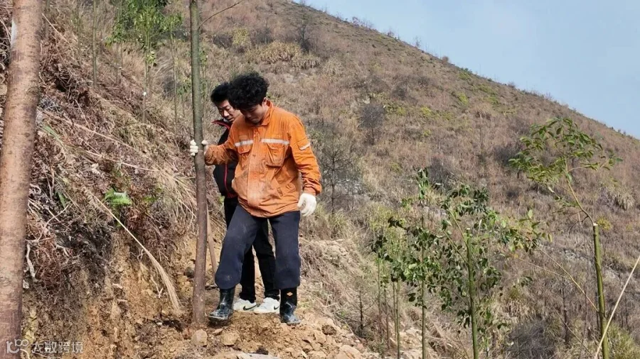 DJI_20260312094731_0197_D.JPG