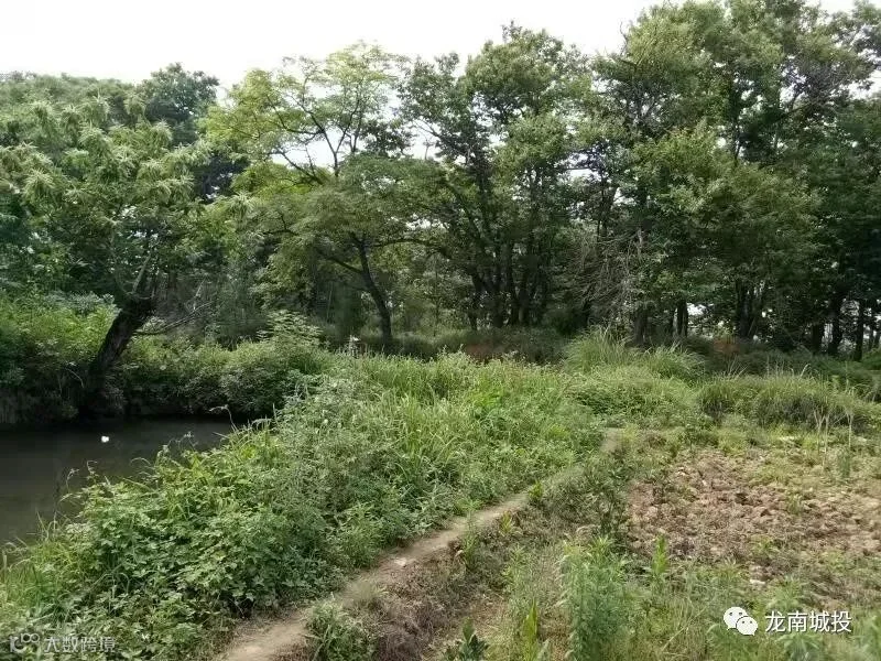 安全检查.jpg