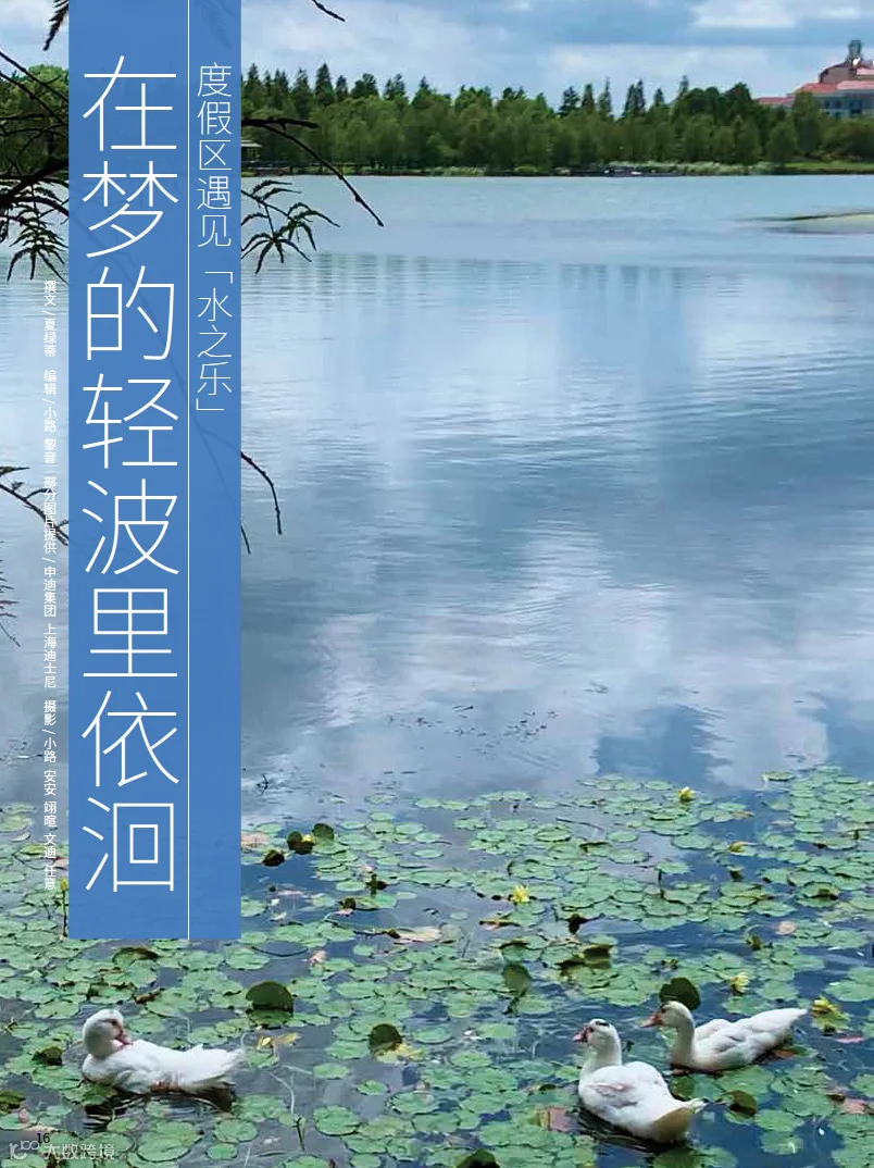 https://image.ipaiban.com/upload-ueditor-image-20211111-1636617858276016737.png
