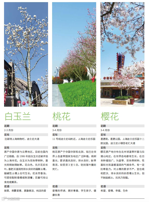 https://image.ipaiban.com/upload-ueditor-image-20210513-1620868691392044392.png