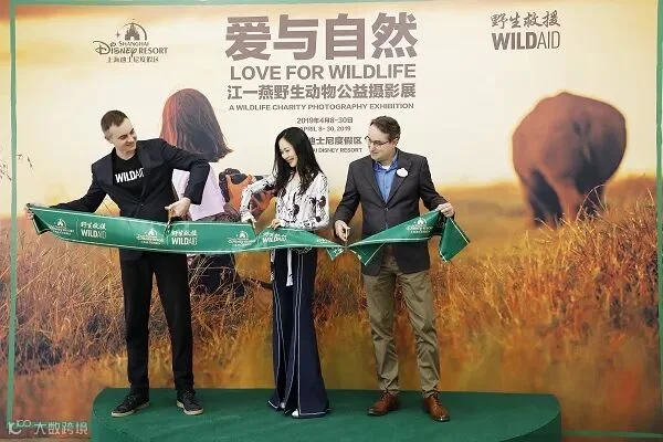 https://image.ipaiban.com/upload-ueditor-image-20190805-1564985137332082953.jpeg