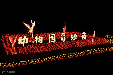 夜间动物园动图18.gif