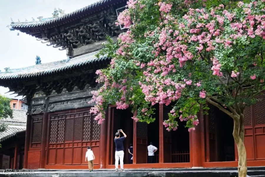 插图