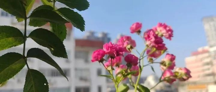 【善的清晨】什麼是真正熱<em>愛</em>這個<em>行</em><em>業</em>？