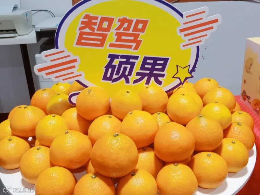 1024照片5.jpg