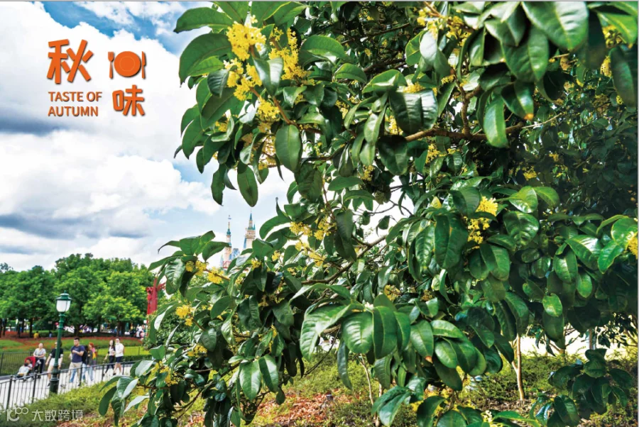 https://image.ipaiban.com/upload-ueditor-image-20201028-1603888742044081716.png