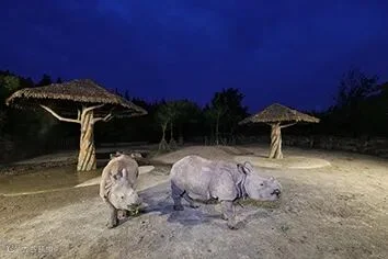 https://image.ipaiban.com/upload-ueditor-image-20211019-1634602265585016133.jpg