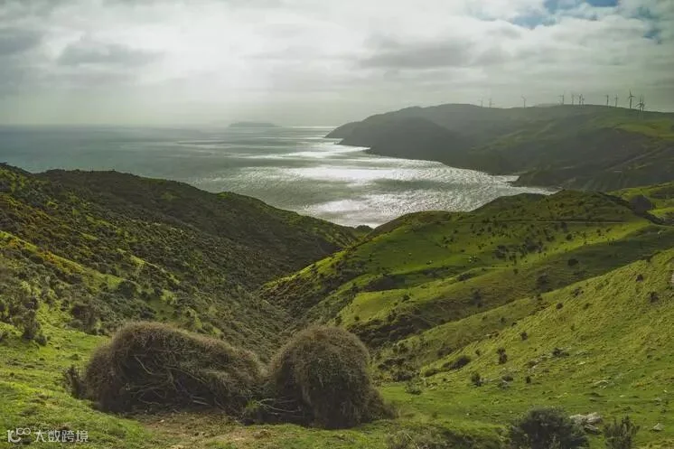 眺望大海的风景