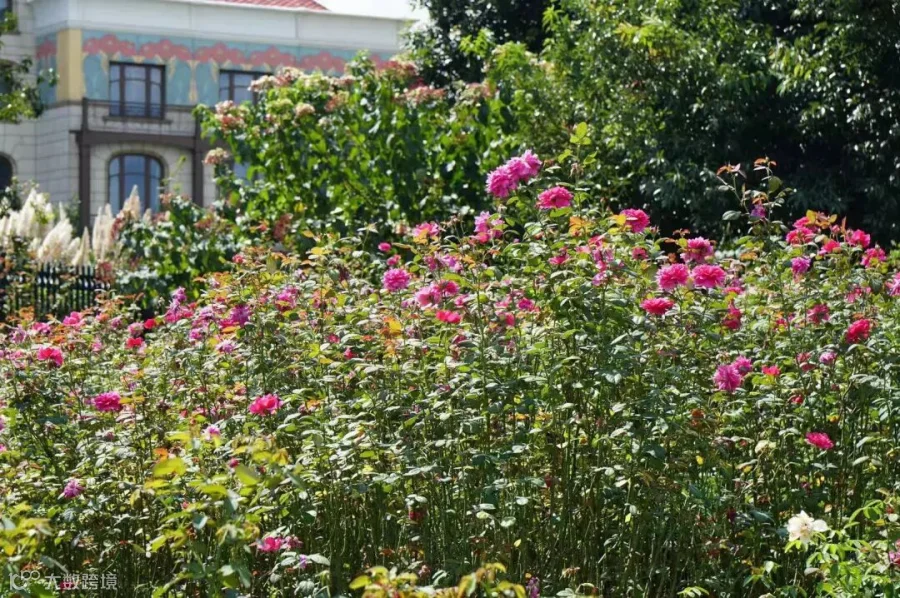https://image.ipaiban.com/upload-ueditor-image-20190918-1568786545890043359.jpeg
