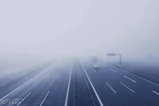 不止纯电动!未来哪种新能源车最有戏