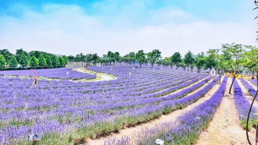 https://image.ipaiban.com/upload-ueditor-image-20190523-1558599427624099415.jpg