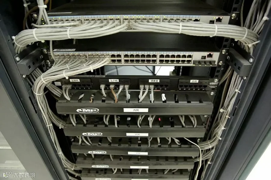 6P9A1565.JPG