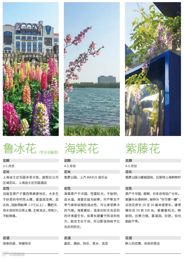 https://image.ipaiban.com/upload-ueditor-image-20210513-1620868686056038299.png