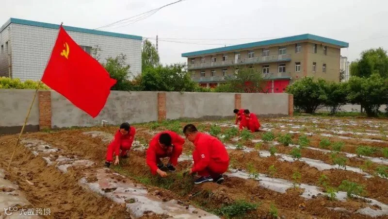 兰州站种菜_副本.jpg